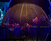 Circus Extreme @ Poole