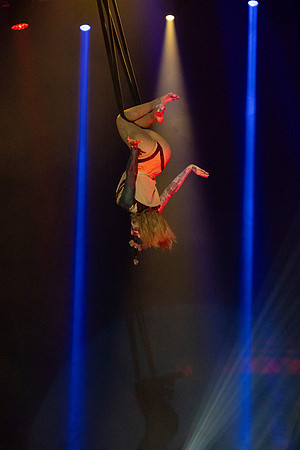 Circus Extreme @ Poole