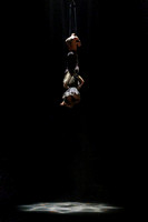Aerial Straps