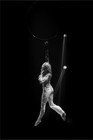 Circus Extreme