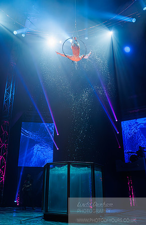 Circus Extreme
