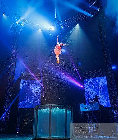 Circus Extreme