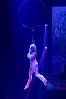 Circus Extreme