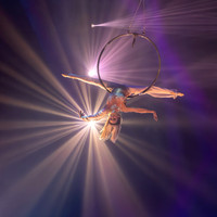 Aerial Hoop