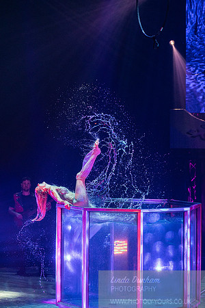 Circus Extreme