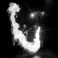 Circus Extreme
