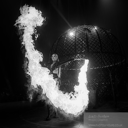 Circus Extreme