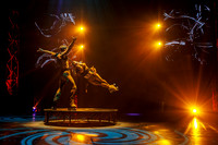 Circus Extreme