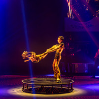 Circus Extreme