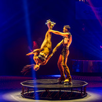 Circus Extreme