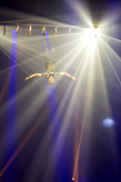 Circus Extreme