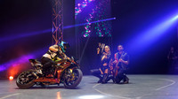 Circus Extreme