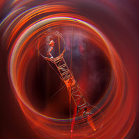 Circus Extreme