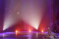 Circus Extreme