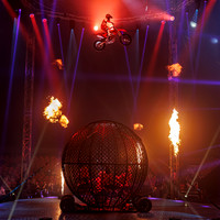 Circus Extreme