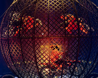 Circus Extreme