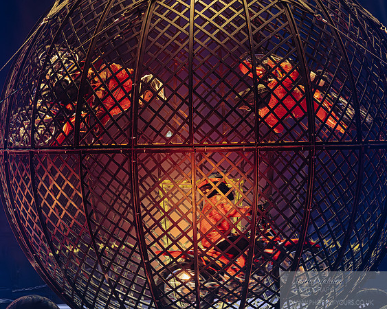 Circus Extreme