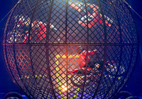 Circus Extreme