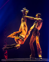 Circus Extreme