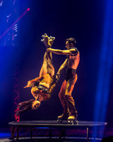 Circus Extreme