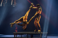 Circus Extreme