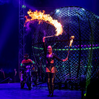 Circus Extreme