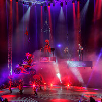 Circus Extreme