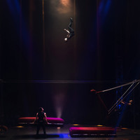 Circus Extreme