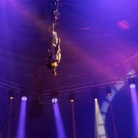 Circus Extreme