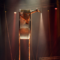 Circus Extreme
