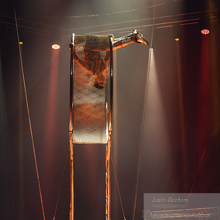 Circus Extreme