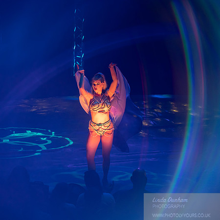 Circus Extreme