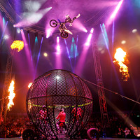 FMX 2