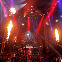 Circus Extreme